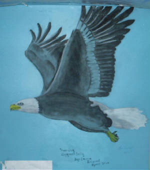 bird.jpg